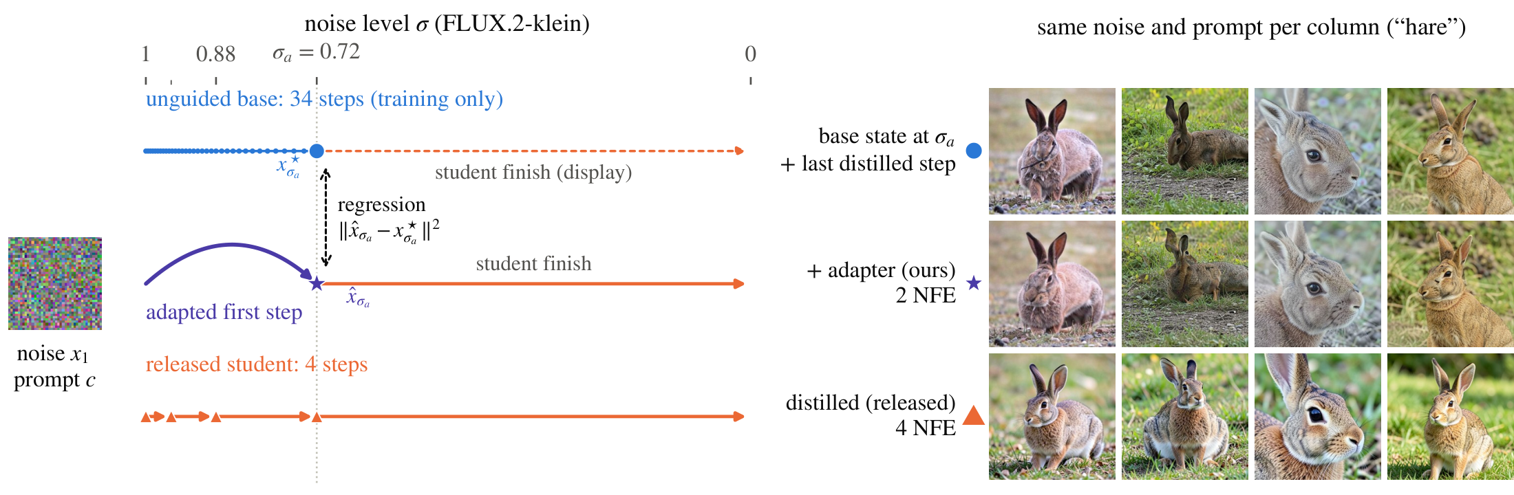 Left: noise-level timelines for FLUX.2-klein. The unguided base takes 34 fine steps to reach sigma_a = 0.72 (used for training only); the adapted first step regresses onto that state in one jump and the student finishes in one step; the released student takes four steps. Right: images for the prompt hare from the same noise per column, completed from the teacher target, by the adapter with 2 NFE, and by the released student with 4 NFE.