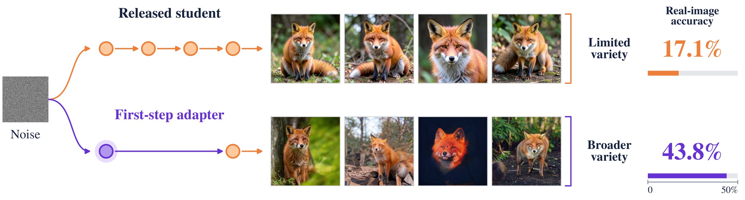 Two sampling paths from the same Gaussian noise for the class red fox. Top: the released FLUX.2-klein student takes four steps, and its four fox images look alike; classifiers trained on its images reach 17.1% real-image accuracy. Bottom: the first-step adapter makes one jump, the unchanged student finishes in one more step, and the foxes differ more in pose, framing and background; accuracy rises to 43.8%.